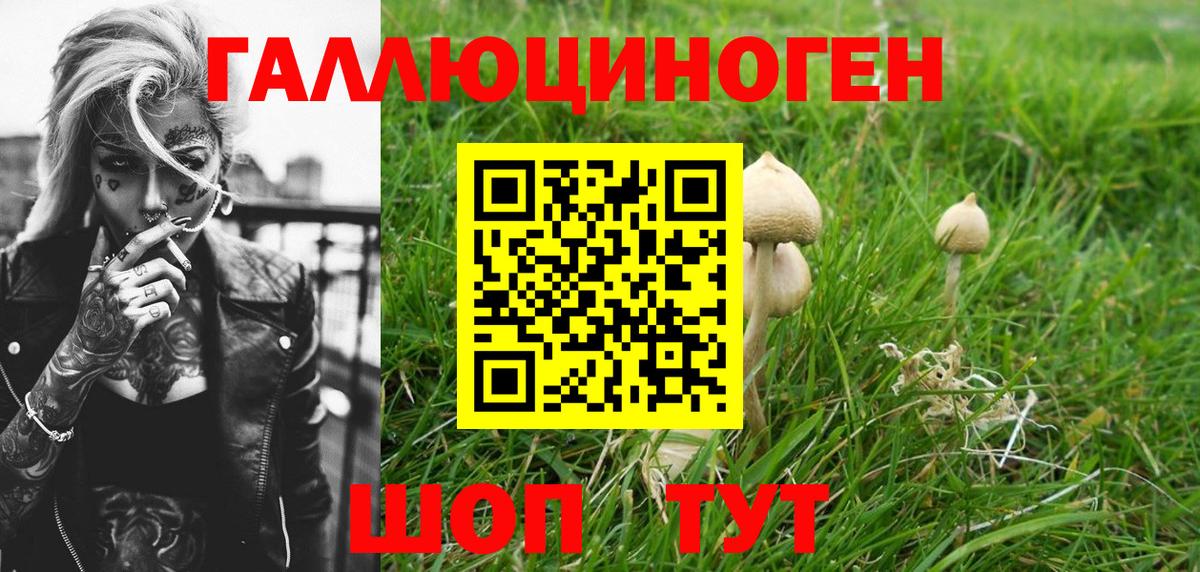 Галлюциногенные грибы GOLDEN TEACHER Александров
