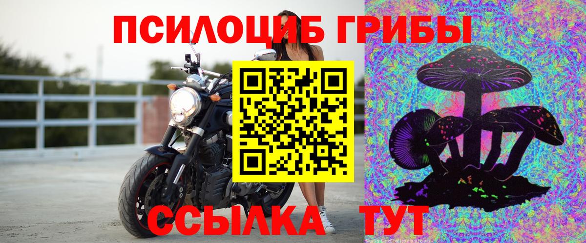 Александров  Галлюциногенные грибы Psilocybine cubensis  Вход с VPN 