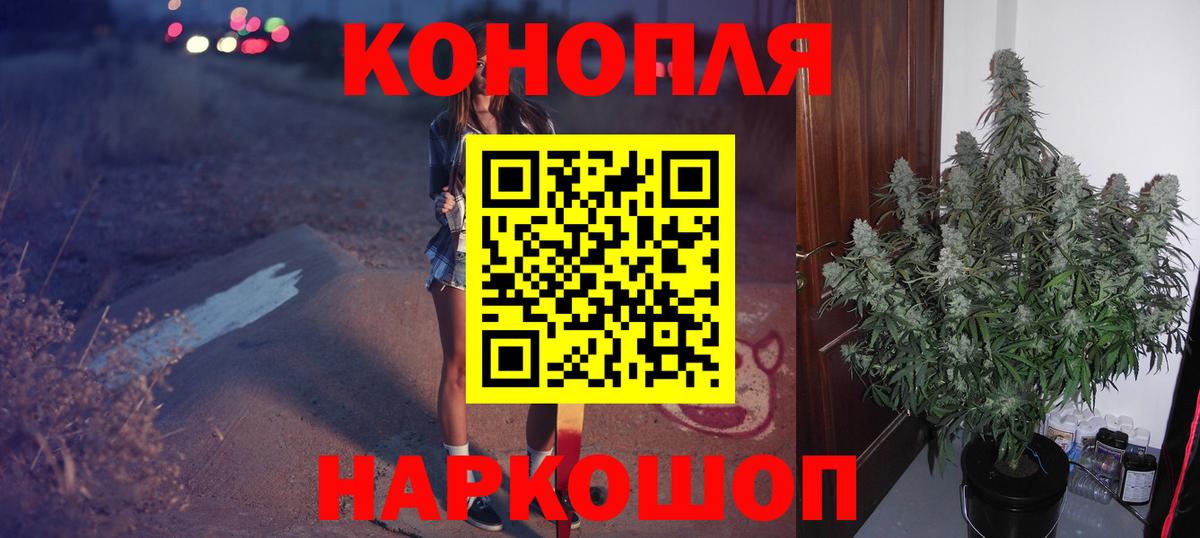 Бошки марихуана OG Kush Александров